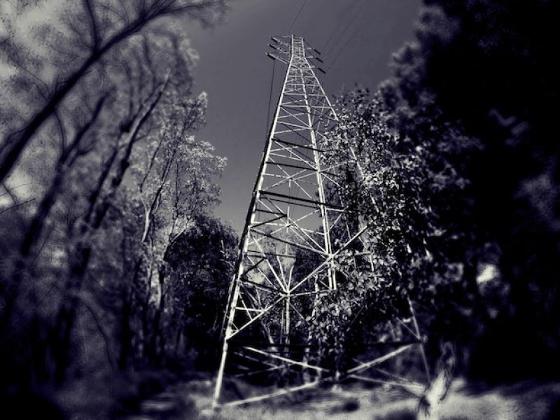 low-angle-view-grid-structure-against-trees_1048944-9674143
