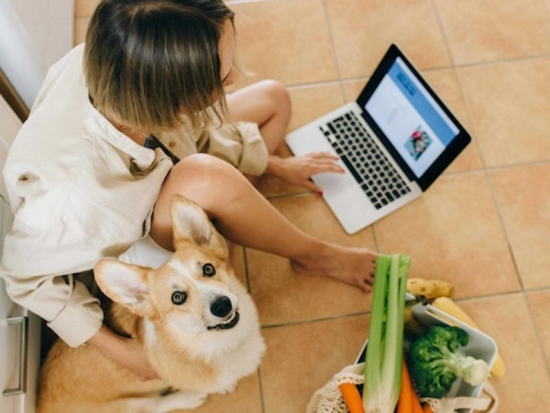woman-working-laptop-with-her-dog-vegetables_1458589-201
